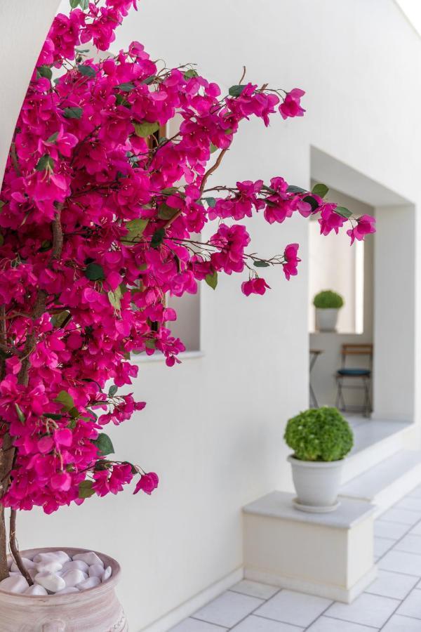 Apartamento 100 Steps - Harmony Naxos City Exterior foto